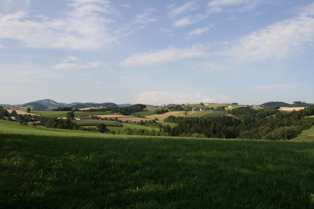 Kirchenwirt Inn Kreuzen  Екстер'єр фото
